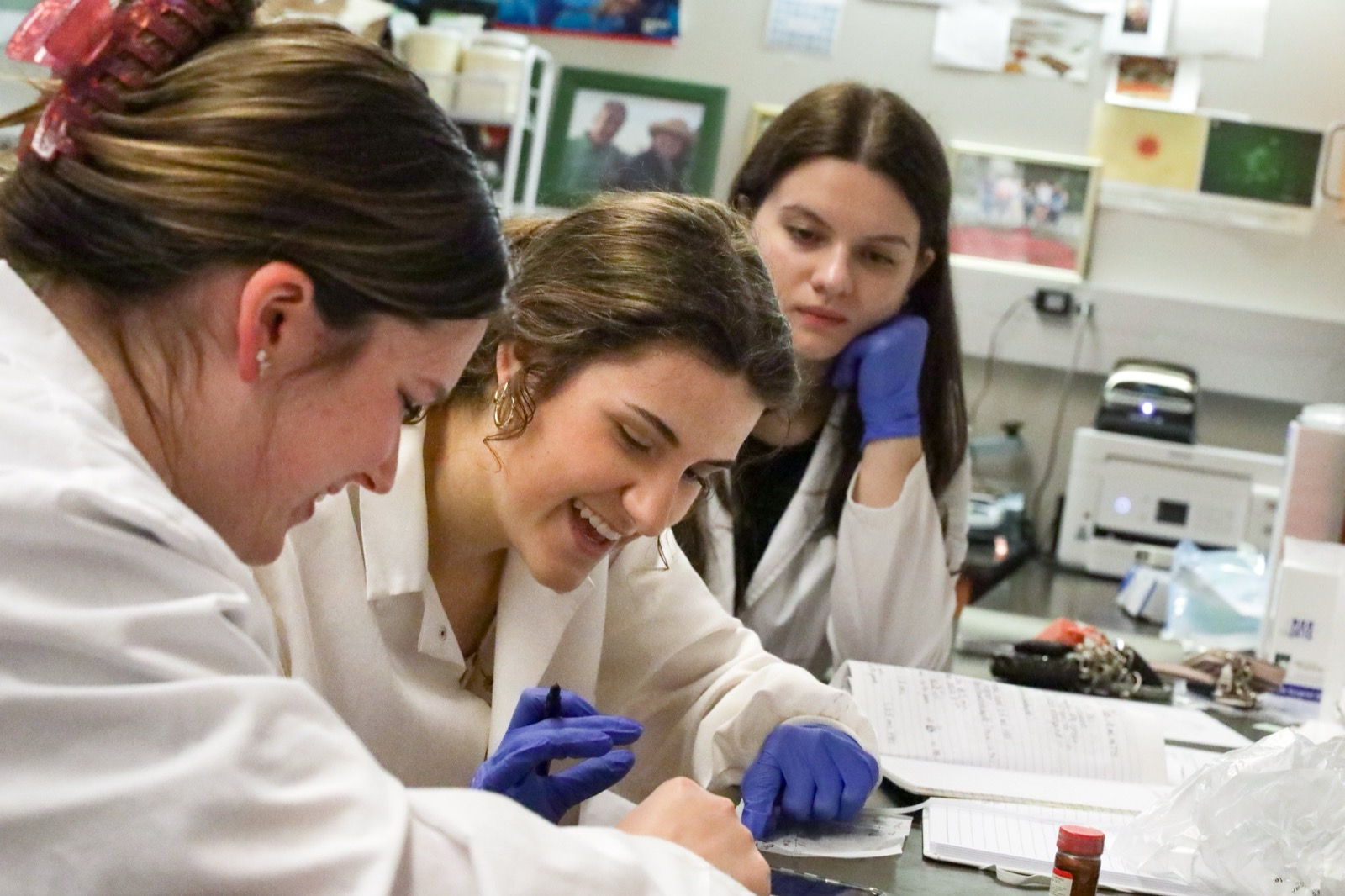 Students working together in a health sciences lab